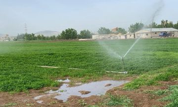 سلطة وادي الأردن تدعو المزارعين للتحوط سلطة وادي الأردن تدعو المزارعين للتحوط