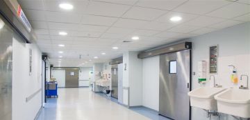 فئران تسرح وتمرح بالقرب من أسرة المرضى.. فضيحة داخل أحد المستشفيات