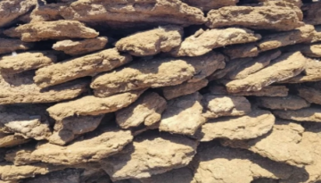  الكسح بديل الحطب في البادية .. ما هو؟