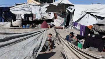 492 شهيدا منذ وقف إطلاق النار في قطاع غزة