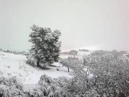 الأرصاد توضح حقيقة تساقط الثلوج مع المنخفض القادم