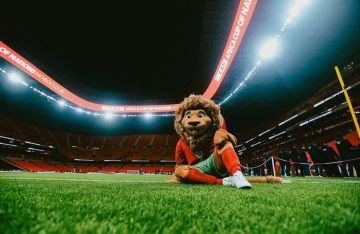 المغرب.. صراع  الأسود  في الدور ربع النهائي لكأس إفريقيا (فيديو)