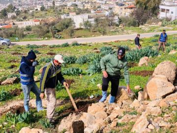 بلديات الأردن تواصل الحملة الوطنية للتشجير لتعزيز الرقعة الخضراء