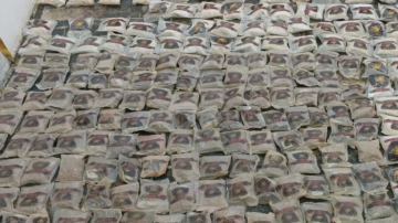 مدير المكافحة : لا تصنيع للمخدرات في الأردن