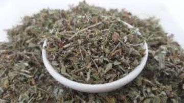 عشبة طبيعية تعزز المناعة وتهدئ الأعصاب ولها فوائد أخرى