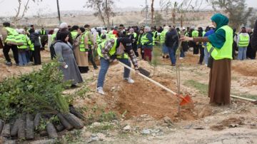 وزارة الإدارة المحلية تطلق حملة وطنية لزراعة أكثر من ربع مليون شجرة وزارة الإدارة المحلية تطلق حملة وطنية لزراعة أكثر من ربع مليون شجرة