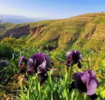 الثلاثاء .. ارتفاع طفيف على درجات الحرارة وأجواء مائلة للبرودة في معظم المناطق