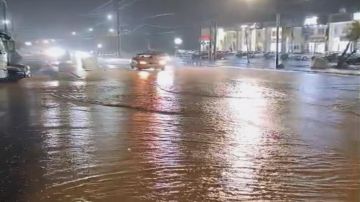 أمطار وضباب ورياح .. بدأ المنخفض الجوي أمطار وضباب ورياح .. بدأ المنخفض الجوي