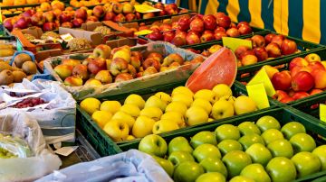 1961 طنا من الخضار ترد إلى السوق المركزي 1961 طنا من الخضار ترد إلى السوق المركزي