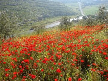 الجمعة .. أجواء باردة مع ارتفاع طفيف على درجات الحرارة وضباب ليلا في بعض المناطق