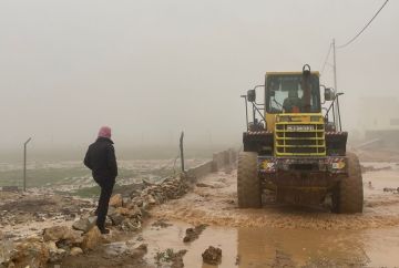 سقوط شجرة معمرة على عمود كهرباء في جرش