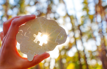 تأثير اضطراب الساعة البيولوجية والنشاط المتأخر على كبار السن