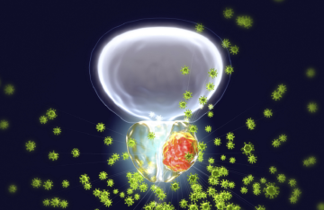 تلوث الهواء يزيد خطر الإصابة بسرطان البروستات بنسبة 6.9 