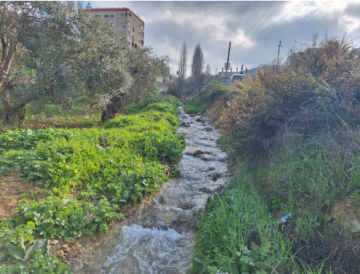 حركة نشطة .. الأجواء الدافئة تدفع الأردنيين لمتنزهات وتلفريك عجلون