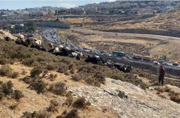 محافظة القدس: الاحتلال يشق شوارع جديدة لعزل القدس عن محيطها محافظة القدس: الاحتلال يشق شوارع جديدة لعزل القدس عن محيطها