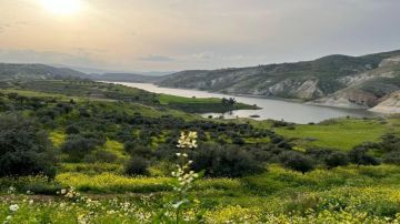 زراعة الأغوار الشمالية تدعو المزارعين للاستعداد للمنخفض الجوي