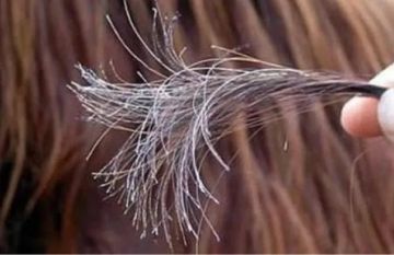 أقنعة بروتين منزلية لعلاج الشعر التالف والجاف