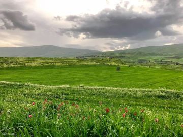 الجمعة .. ارتفاع ملموس على الحرارة مع بقاء الأجواء باردة وفرصة ضعيفة لهطول زخات مطرية