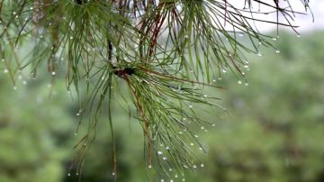 أجواء باردة وأمطار متفرقة تسبق تحسنا تدريجيا على درجات الحرارة مطلع الأسبوع عاجل