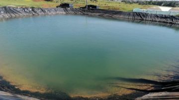 وفاة أب وطفليه غرقا داخل بركة زراعية في الجيزة