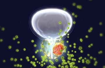 رابط مقلق بين تلوث الهواء وزيادة خطر الإصابة بسرطان البروستات