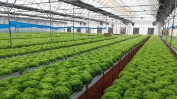 مذكرة تفاهم لدعم الاستثمار في الصناعات الزراعية التنموية