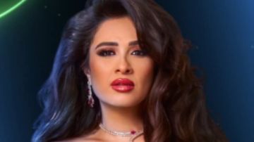 ياسمين عبدالعزيز تقاضي مروجي صورها المسيئة 