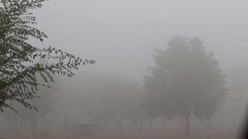 الأرصاد: تراجع تأثير المنخفض الجوي اعتبارا من الأربعاء