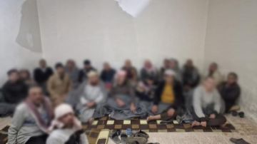 سوريا: القبض على 81 عنصرا من داعش فروا من سجن ريف الحسكة