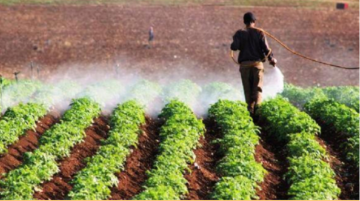 زراعة الأغوار الشمالية تحذر المزارعين من الصقيع وتدعو لاتخاذ الإجراءات الوقائية