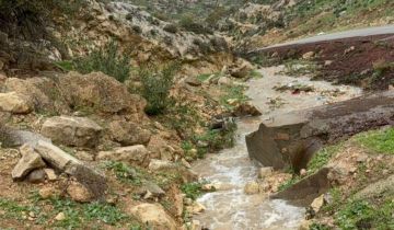 أبو عرابي: الهطولات المطرية دفعة قوية للقطاع الزراعي