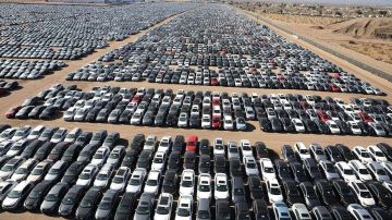 الجيوسي: قرارات حكومية تخنق صغار المستثمرين في المنطقة الحرة وتخدم الهوامير على حساب آلاف العائلات الجيوسي: قرارات حكومية تخنق صغار المستثمرين في المنطقة الحرة وتخدم الهوامير على حساب آلاف العائلات