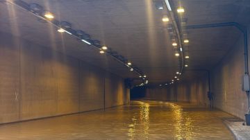 الشواربة: عمان لم تغرق ولن تغرق