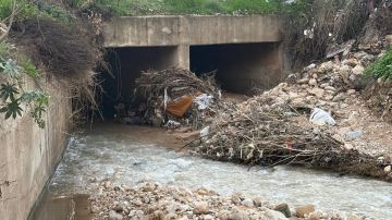 كارثة بيئية في وادي السير: تلوث شديد وسدود بلاستيكية تهدد السكان كارثة بيئية في وادي السير: تلوث شديد وسدود بلاستيكية تهدد السكان