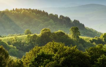 الأردن يؤكد التزامه بدعم مبادرة الشرق الأوسط الأخضر