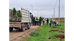 الرمثا تشارك بحملة التشجير الوطني