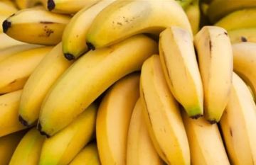 الموز.. فاكهة لذيذة وفوائد صحية متعددة