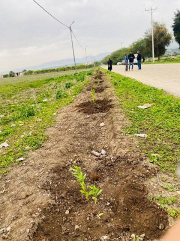 بلديات عمان تشارك في حملة التشجير والتخضير بغرس نحو 7 آلاف شجرة بلديات عمان تشارك في حملة التشجير والتخضير بغرس نحو 7 آلاف شجرة