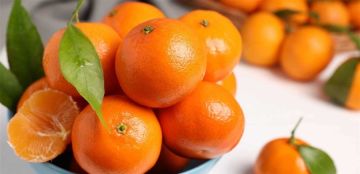 هذا ما يحصل لجسمك عند تناول الكلمنتينا بانتظام