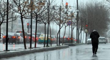 الأرصاد الجوية: طقس بارد وتحذيرات من الضباب والصقيع وأمطار متوقعة الأحد.