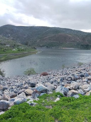 الأجواء الدافئة تنعش السياحة في الأغوار الشمالية