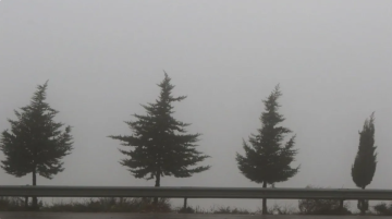 الأرصاد للاردنيين: منخفض جوي مصحوب بكتلة هوائية باردة يؤثر على المملكة الأحد