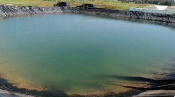 الاردن.. وفاة أب وطفليه إثر غرقهم في بركة زراعية في لواء الجيزة الاردن.. وفاة أب وطفليه إثر غرقهم في بركة زراعية في لواء الجيزة