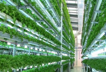 الإقراض الزراعي: قروض بـ64 مليون دينار لـ12880 مزارعا في 2025