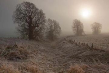 الخميس .. ارتفاع طفيف على الحرارة وأجواء باردة مع فرص زخات مطر متفرقة في بعض المناطق