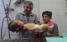 وفاة رضيع بردا وسط قطاع غزة - jo