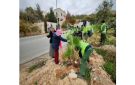 إطلاق حملة التشجير في المفرق لزراعة 4 آلاف شجرة - jo