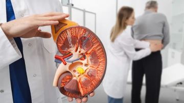 تجربة سريرية: برنامج لزيادة السوائل لم يخفض تكرار حصى الكلى بوضوح تجربة سريرية: برنامج لزيادة السوائل لم يخفض تكرار حصى الكلى بوضوح