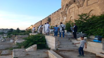 مستوطنون يدنسون مقبرة باب الرحمة المحاذية للمسجد الأقصى مستوطنون يدنسون مقبرة باب الرحمة المحاذية للمسجد الأقصى