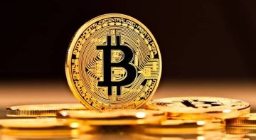 بيتكوين تحقق قفزة تاريخية .. أقوى ربع منذ مطلع 2024 بيتكوين تحقق قفزة تاريخية .. أقوى ربع منذ مطلع 2024